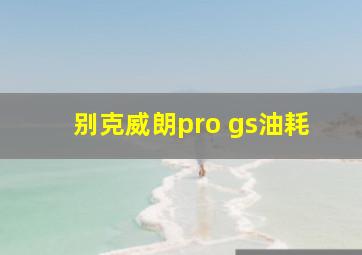 别克威朗pro gs油耗